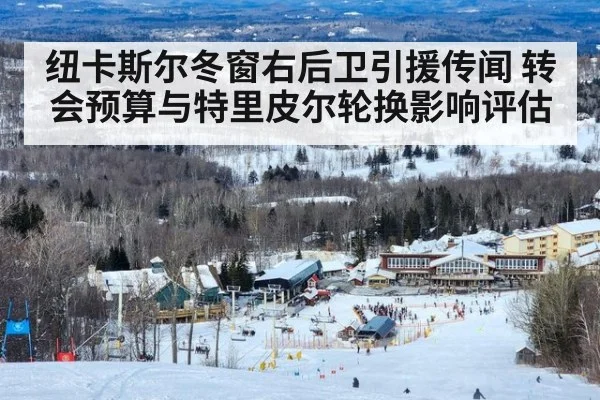 纽卡斯尔冬窗右后卫引援传闻 转会预算与特里皮尔轮换影响评估